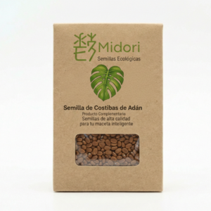Semilla de Costilla de Adán